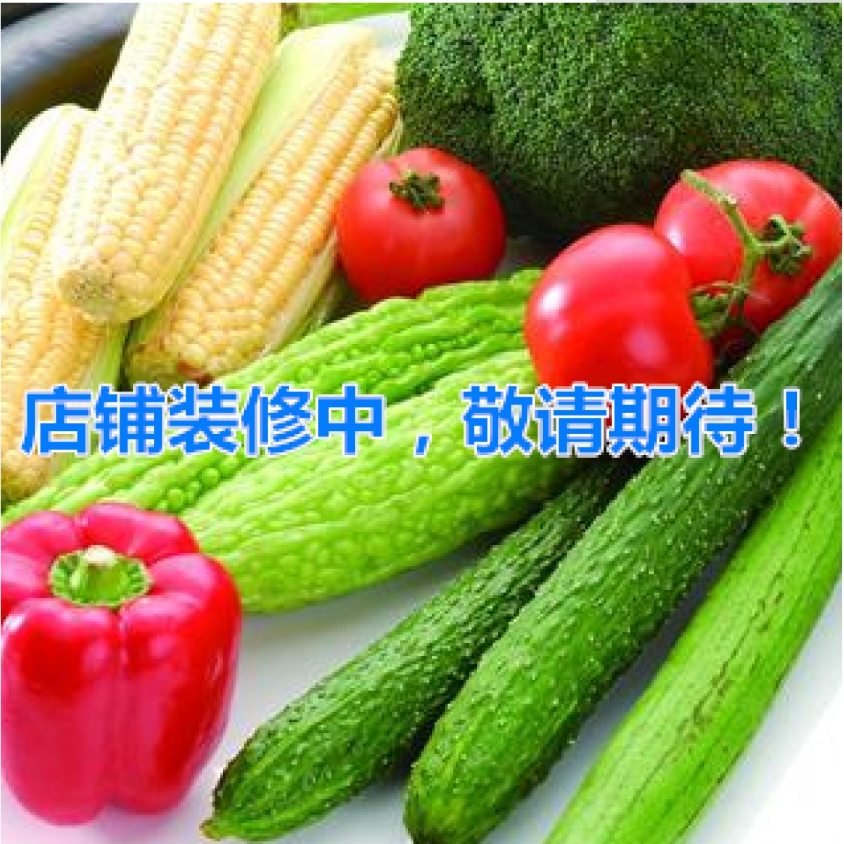 店铺装修中，敬请期待！