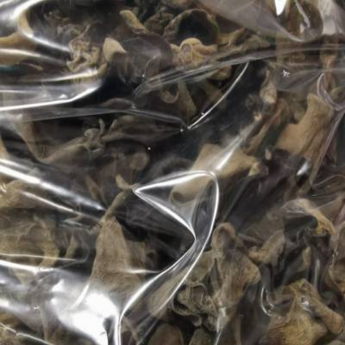 黑木耳1.2（食品）
