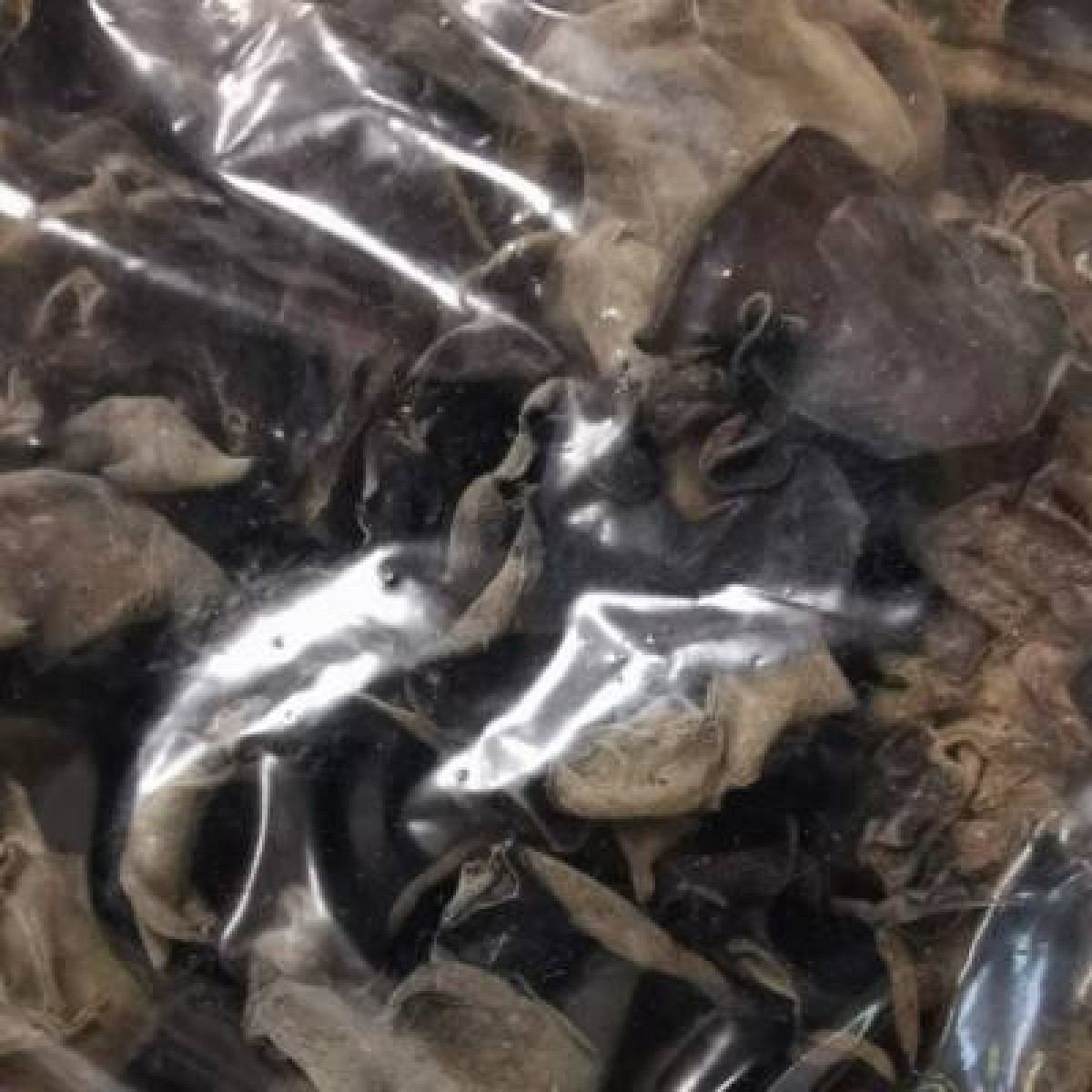 黑木耳1.8（食品）