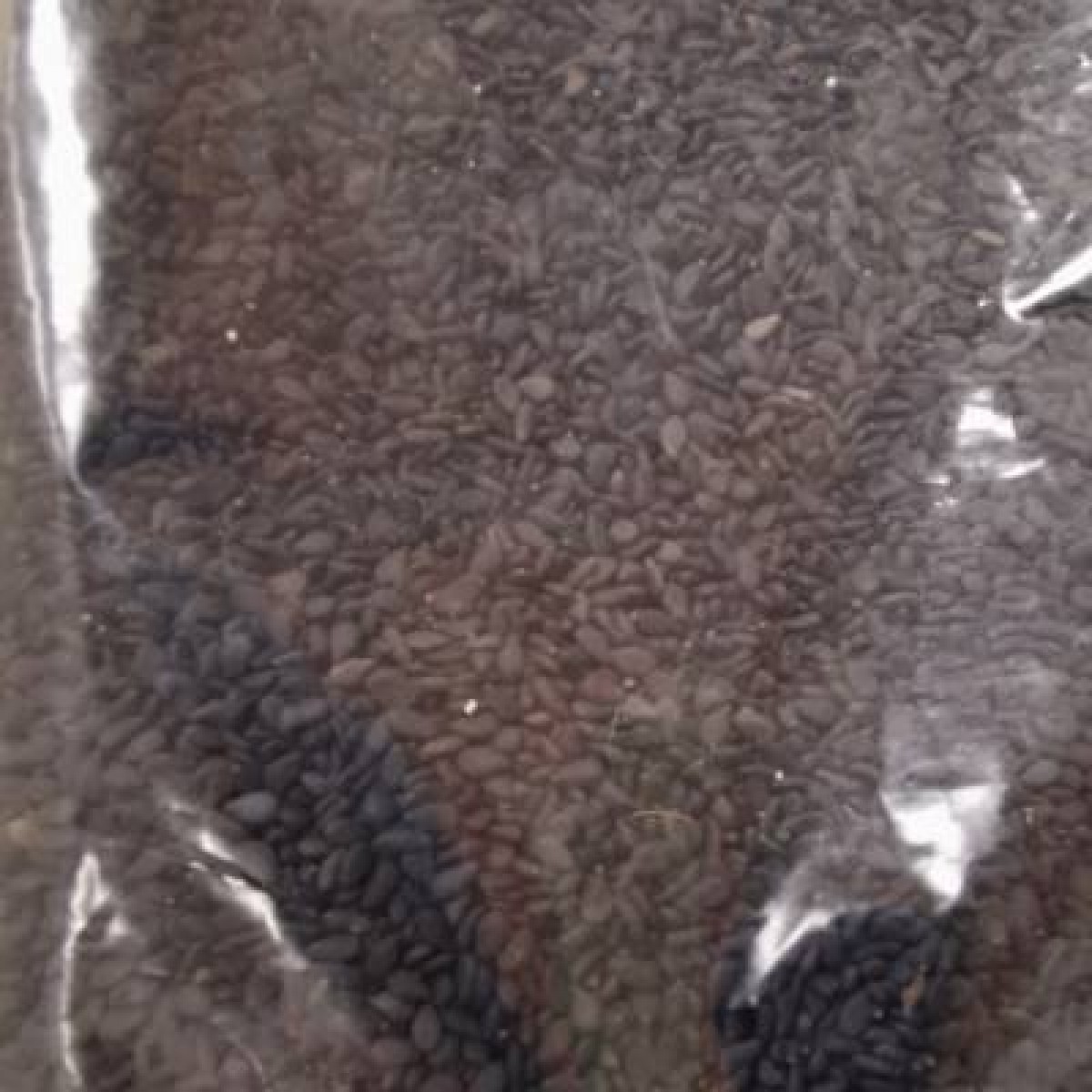 黑芝麻（食品）