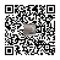 商品二维码