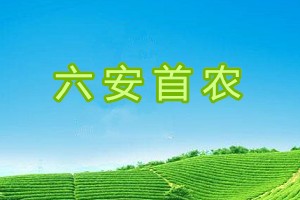 六安首农